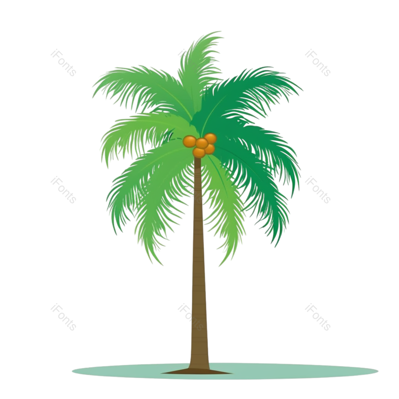 白色背景图片,橄榄元素,海滩PNG,植物免抠素材